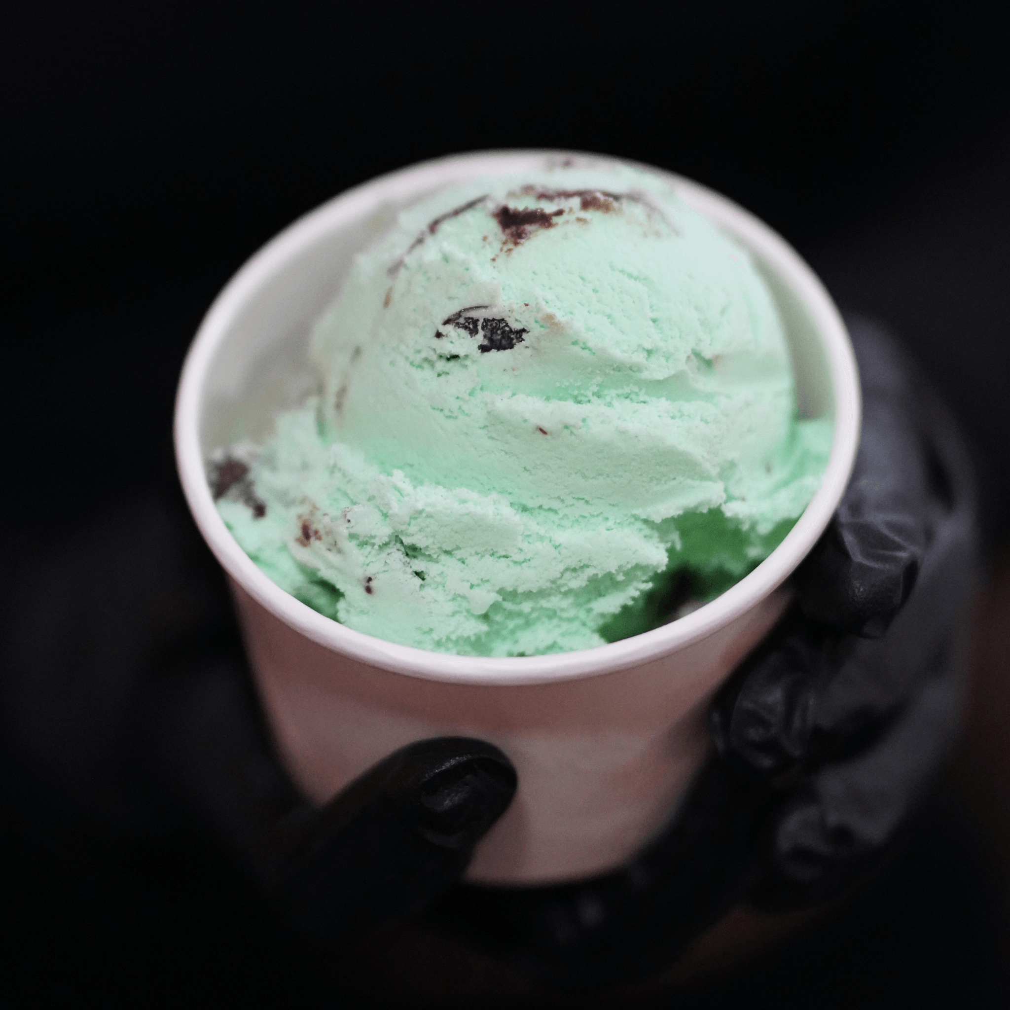 Mint Moosetrack Ice Cream.