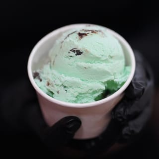 Mint Moose Track Ice Cream